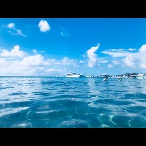 Meet your Posher, Tonya